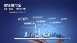 债市宝春天行动考核
