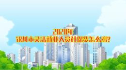 (投放版)银川市灵活就业人员手机APP核定缴费指南(动漫版)