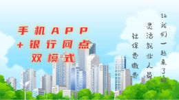 (税务)灵活就业人员缴费