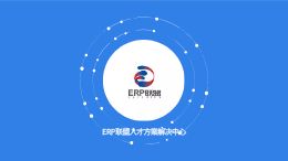 ERP联盟介绍