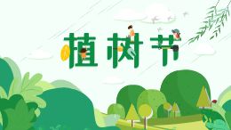 校园植树节播种绿色活动