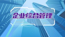 企业综合管理