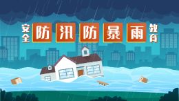 防汛防暴雨安全教育动画模板