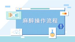 麻醉操作流程动画模板
